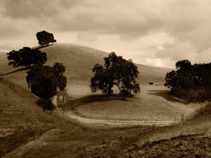Balanced patch cables interconnected into high-density Bantam TT audio patchbay